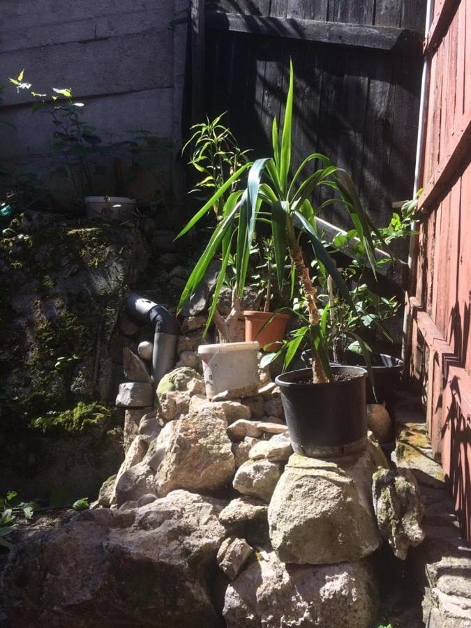 Casa Adrian Camere Centru Vechi Braşov Eksteriør billede